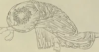 An illustration from From Holbein to Whistler, notes on drawing and engraving, / by Alfred Mansfield Brooks. (1920)