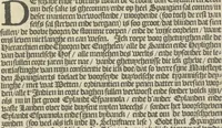 An illustration from Den spiegel der Spaensche tierannije, geschiet in Westindien : waerin te sien is de onmenschelijke wreede feÿten der Spanjaerden met samen de beschrijvinge der selver lant en volcken aert en nature allen vaderlant lieuende en vrome voorsta[n]ders ten exempel voor gestelt (1620)