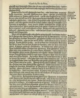 An illustration from Den spiegel der Spaensche tierannije, geschiet in Westindien : waerin te sien is de onmenschelijke wreede feÿten der Spanjaerden met samen de beschrijvinge der selver lant en volcken aert en nature allen vaderlant lieuende en vrome voorsta[n]ders ten exempel voor gestelt (1620)