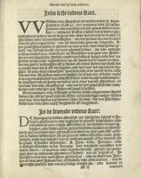 An illustration from Den spiegel der Spaensche tierannije, geschiet in Westindien : waerin te sien is de onmenschelijke wreede feÿten der Spanjaerden met samen de beschrijvinge der selver lant en volcken aert en nature allen vaderlant lieuende en vrome voorsta[n]ders ten exempel voor gestelt (1620)