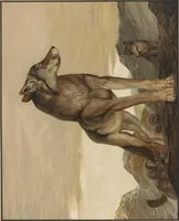 An illustration from Sixteen illustrations of subjects from Kipling's "Jungle book" (1903)