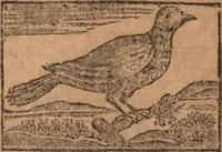 An illustration from The history of little Goody Twoshoes, otherwise called Mrs. Margery Twoshoes : with the means by which she acquired her learning and wisdom and in consequence thereof her estate ... see the original manuscript in the Vatican at Rome, and the cuts by Michael Angelo, illustrated with the comments of our great modern criticks (1787)