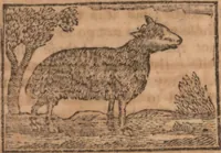 An illustration from The history of little Goody Twoshoes, otherwise called Mrs. Margery Twoshoes : with the means by which she acquired her learning and wisdom and in consequence thereof her estate ... see the original manuscript in the Vatican at Rome, and the cuts by Michael Angelo, illustrated with the comments of our great modern criticks (1787)