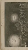Picture 2 of 32 from Mémoires : récréatifs, scientifiques et anecdotiques (1831), leaf 10