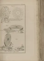 Picture 8 of 32 from Mémoires : récréatifs, scientifiques et anecdotiques (1831), leaf 165