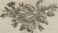 An illustration from La magie blanche dévoilée, ou, Explication des tours surprennants, qui font depuis peu l'admiration de la capitale et de la province : avec des réflexions sur la baguette divinatoire, les automates joueurs d'échecs, &c. &c (1784)
