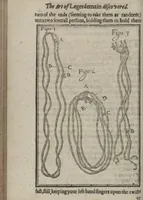 Picture 14 of 15 from Hocus pocus junior : the anatomie of legerdemain, or, The art of jugling set forth in his proper colours, fully, plainly, and exactly, so that an ignorant person may thereby learn the full perfection of the same, after a little practice : unto each tricke is added the figure, where it is needfull for instruction (1635), leaf 58