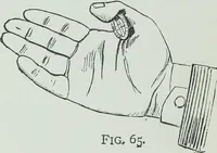 An illustration from Modern magic : a practical treatise on the art of conjuring (1894)