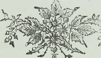 Picture 5 of 134 from Modern magic : a practical treatise on the art of conjuring (1894), leaf 30