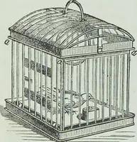 Picture 66 of 134 from Modern magic : a practical treatise on the art of conjuring (1894), leaf 331