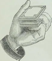 An illustration from Modern magic : a practical treatise on the art of conjuring (1894)