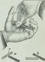 An illustration from Modern magic : a practical treatise on the art of conjuring (1894)