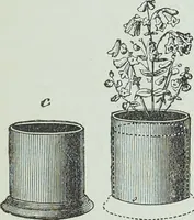Picture 101 of 134 from Modern magic : a practical treatise on the art of conjuring (1894), leaf 432