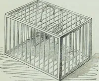 Picture 106 of 134 from Modern magic : a practical treatise on the art of conjuring (1894), leaf 444