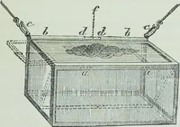 Picture 132 of 134 from Modern magic : a practical treatise on the art of conjuring (1894), leaf 506