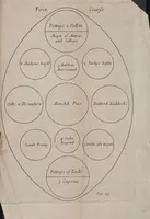 Picture 15 of 24 from Royal cookery, or, The complete court-cook : containing the choicest receipts in all the particular branches of cookery now in use in the Queen's palaces of St. James's, Kensington, Hampton-Court, and Windsor : with near forty figures (curiously engraven on copper) of the magnificent entertainments at coronations, instalment, balls, weddings, &c. at court ... (1710), leaf 105
