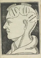 An illustration from Opus philosophie naturalis (1490)