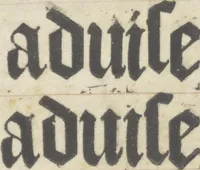 An illustration from Bien, aduise mal, aduise (1499)