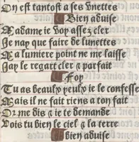 An illustration from Bien, aduise mal, aduise (1499)