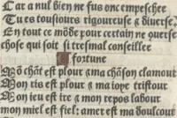 Picture 70 of 88 from Bien, aduise mal, aduise (1499), leaf 98