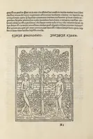 An illustration from De claris mulieribus (1487)