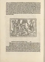 An illustration from De claris mulieribus (1487)