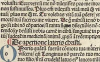 Picture 76 of 100 from Horologium deuotionis circa vitam Christi (1490), leaf 105