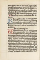 An illustration from Horologium deuotionis circa vitam Christi (1490)