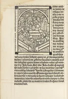 An illustration from Horologium deuotionis circa vitam Christi (1490)