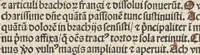 An illustration from Horologium deuotionis circa vitam Christi (1490)
