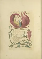 Picture 4 of 24 from Songs of innocence (1789), leaf 19
