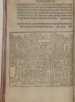 An illustration from The Knyght of the Swanne (1512)