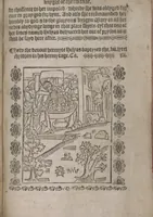 An illustration from The Knyght of the Swanne (1512)
