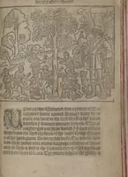 Picture 15 of 45 from The Knyght of the Swanne (1512), leaf 49