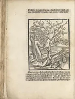 An illustration from De reuelatione facta ab angelo beato Methodio in carcere dete[n]to (1498)