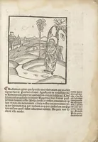 An illustration from De reuelatione facta ab angelo beato Methodio in carcere dete[n]to (1498)