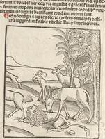 An illustration from De reuelatione facta ab angelo beato Methodio in carcere dete[n]to (1498)