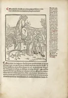 Picture 26 of 66 from De reuelatione facta ab angelo beato Methodio in carcere dete[n]to (1498), leaf 46