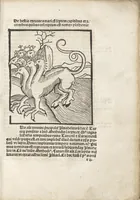 An illustration from De reuelatione facta ab angelo beato Methodio in carcere dete[n]to (1498)