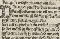 An illustration from Liber pestilentialis de venenis epidimie: Das Buch der Vergift der Pestile[n]tz das da gena[n]t ist der gemein Sterbent der trüsen Blatren, (1500)