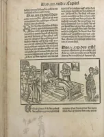 An illustration from Liber pestilentialis de venenis epidimie: Das Buch der Vergift der Pestile[n]tz das da gena[n]t ist der gemein Sterbent der trüsen Blatren, (1500)