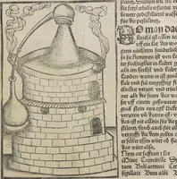 Picture 19 of 23 from Liber pestilentialis de venenis epidimie: Das Buch der Vergift der Pestile[n]tz das da gena[n]t ist der gemein Sterbent der trüsen Blatren, (1500), leaf 55