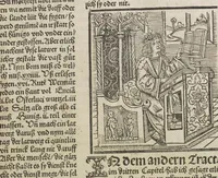An illustration from Liber pestilentialis de venenis epidimie: Das Buch der Vergift der Pestile[n]tz das da gena[n]t ist der gemein Sterbent der trüsen Blatren, (1500)