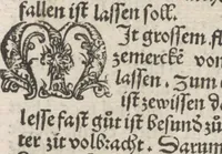 Picture 22 of 23 from Liber pestilentialis de venenis epidimie: Das Buch der Vergift der Pestile[n]tz das da gena[n]t ist der gemein Sterbent der trüsen Blatren, (1500), leaf 64