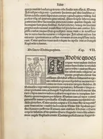 An illustration from Iacobi Gualle iureconsulti Papie sanctuarium (1505)