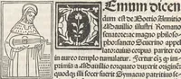 Picture 32 of 71 from Iacobi Gualle iureconsulti Papie sanctuarium (1505), leaf 123