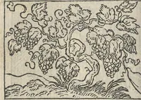 Picture 88 of 101 from Le theatre des bons engins, auquel sont contenuz cent emblemes moraulx (1546), leaf 103