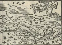 Picture 95 of 101 from Le theatre des bons engins, auquel sont contenuz cent emblemes moraulx (1546), leaf 110