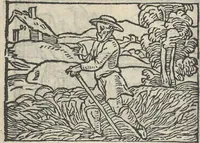 Picture 98 of 101 from Le theatre des bons engins, auquel sont contenuz cent emblemes moraulx (1546), leaf 113