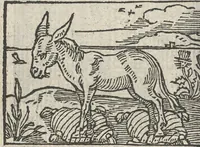 Picture 14 of 101 from Le theatre des bons engins, auquel sont contenuz cent emblemes moraulx (1546), leaf 29